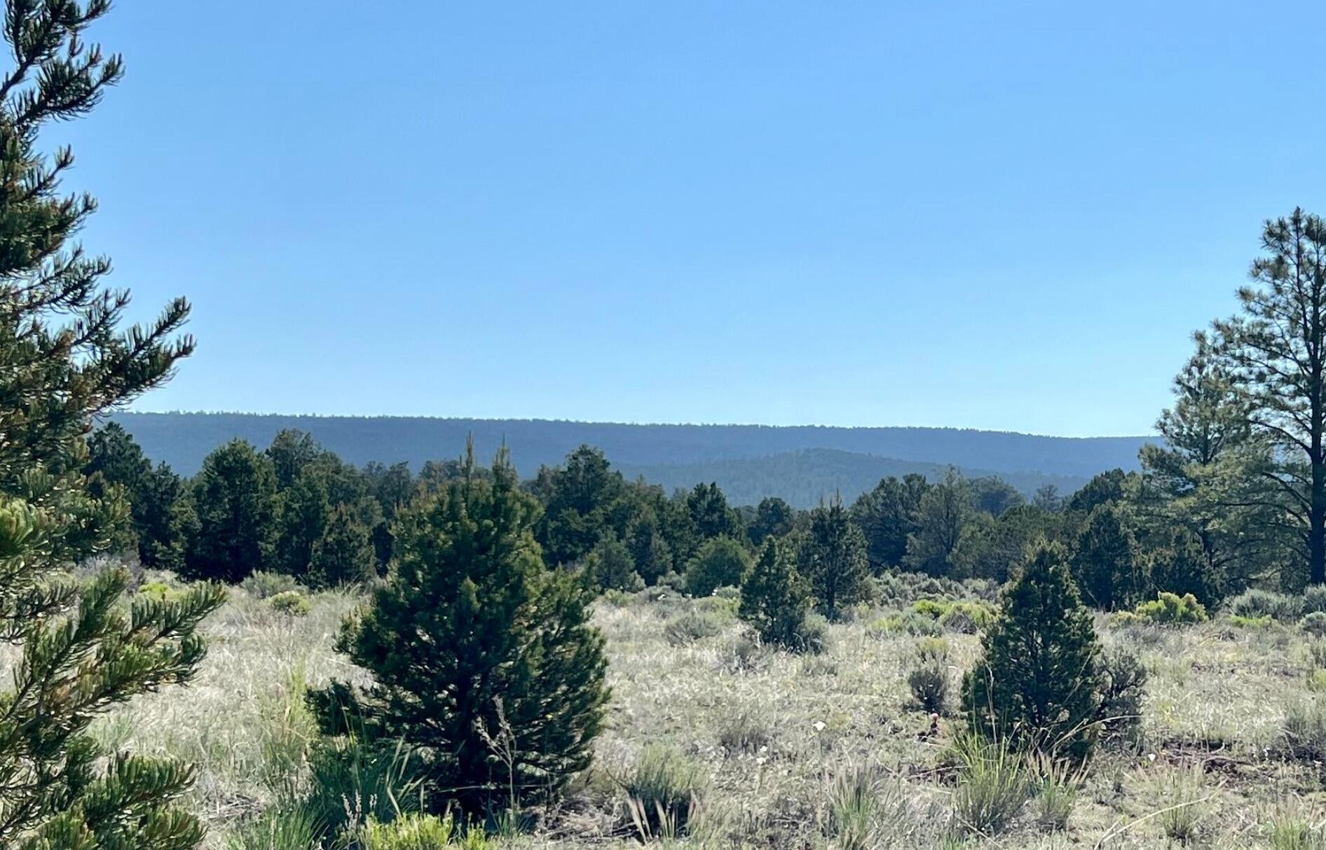 Homes for sale in Ramah, NM | Lot 15 Buttonwood Dr, Ramah, NM 87321 | MLS# 1088102