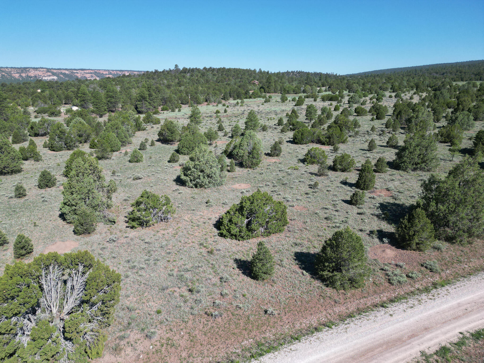 Homes for sale in Ramah, NM | Lot 15 Buttonwood Dr, Ramah, NM 87321 | MLS# 1088102