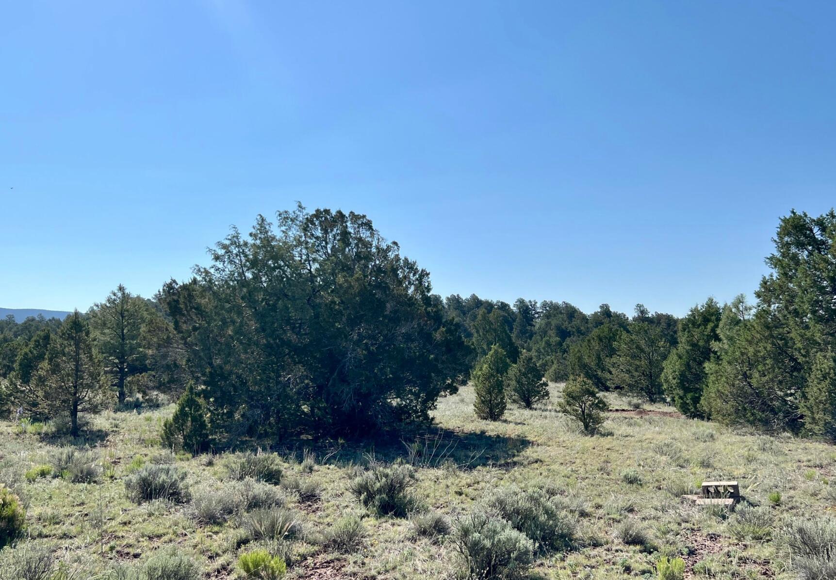 Homes for sale in Ramah, NM | Lot 15 Buttonwood Dr, Ramah, NM 87321 | MLS# 1088102