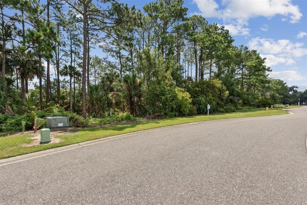 Homes for sale in Fernandina Beach, FL | 96744 Soap Creek Dr, Fernandina Beach, FL 32034 | MLS# F10515113