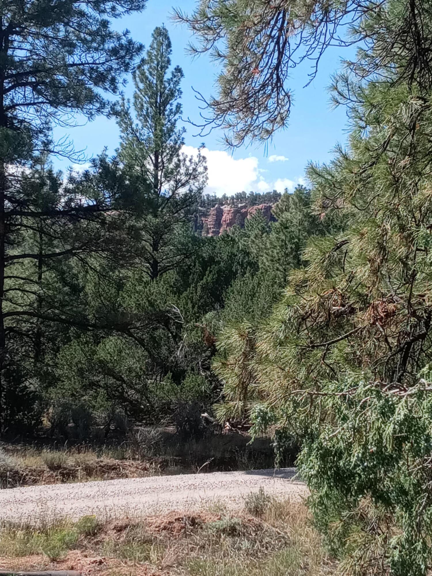 Homes for sale in Ramah, NM | Lot 15 Yucca Dr, Ramah, NM 87321 | MLS# 1088174