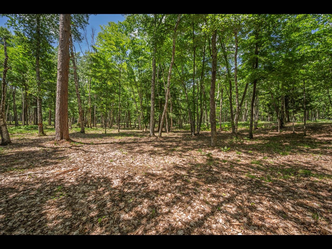 Clearwater Lake Property 142-144 Kindling Pt Photo 11