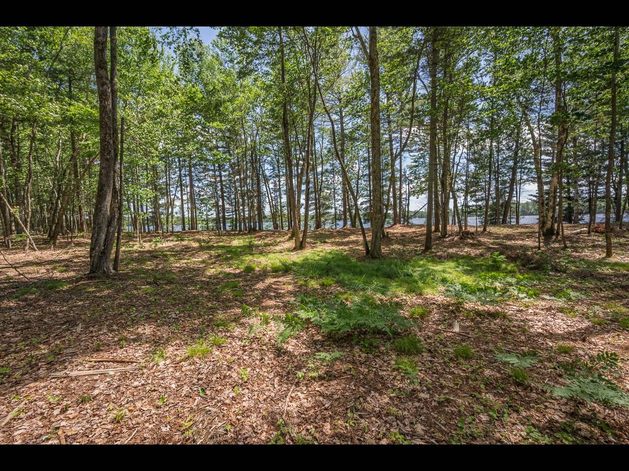 Clearwater Lake Property 142-144 Kindling Pt Photo 15