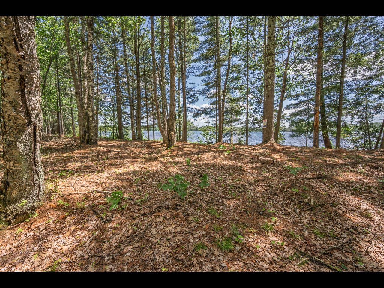 Clearwater Lake Property 142-144 Kindling Pt Photo 16