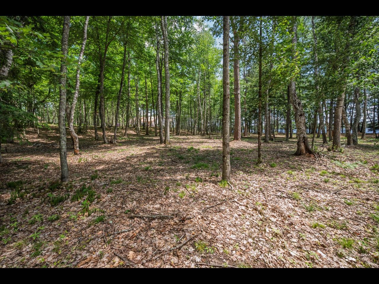 Clearwater Lake Property 142-144 Kindling Pt Photo 8