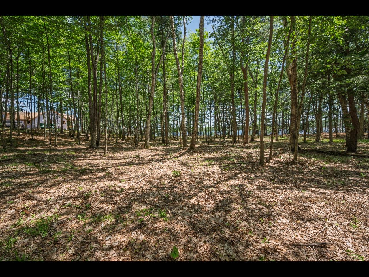 Clearwater Lake Property 142-144 Kindling Pt Photo 9