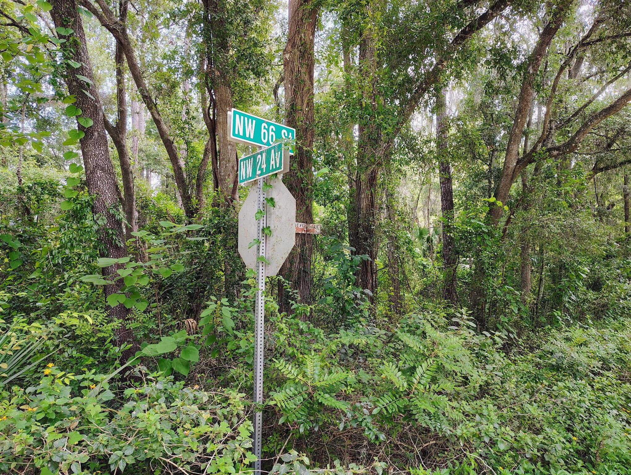 Homes for sale in Ocala, FL | Nw 66 St Nw 24th Ave, Ocala, FL 34475 | MLS# R11109023