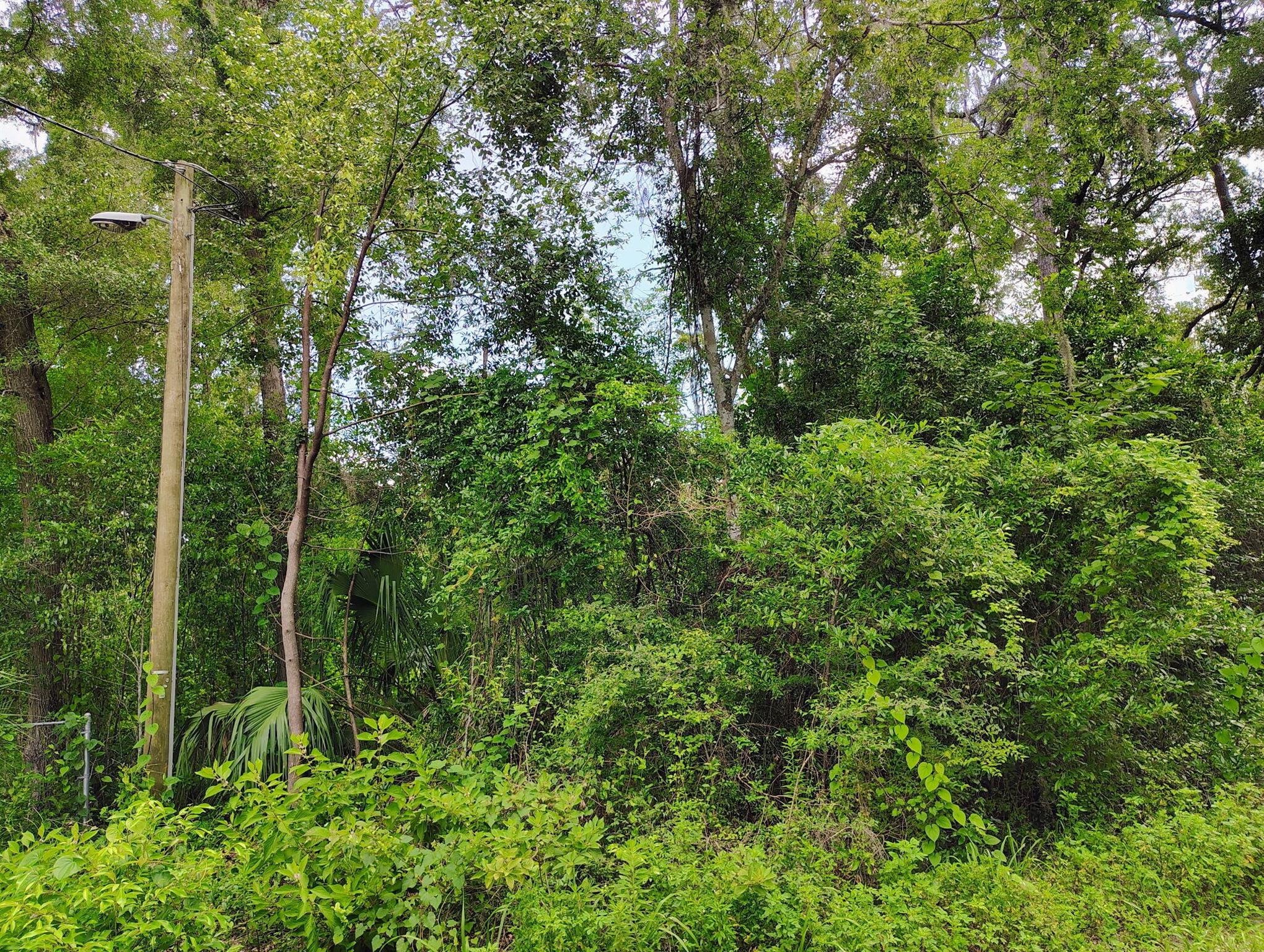 Homes for sale in Ocala, FL | Nw 66 St Nw 24Th Ave, Ocala, FL 34475 | MLS# R11109023