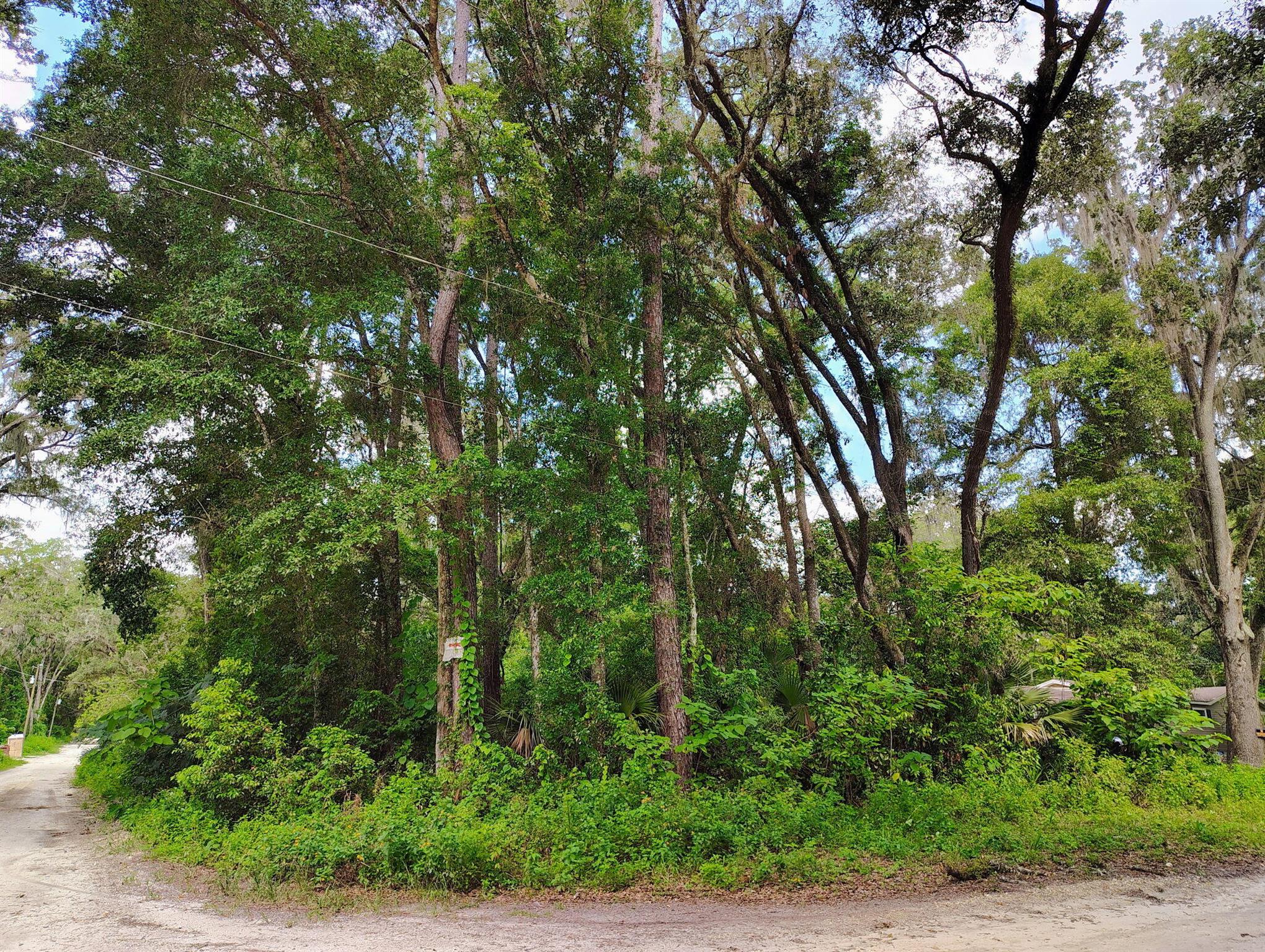 Homes for sale in Ocala, FL | Nw 66 St Nw 24Th Ave, Ocala, FL 34475 | MLS# R11109023