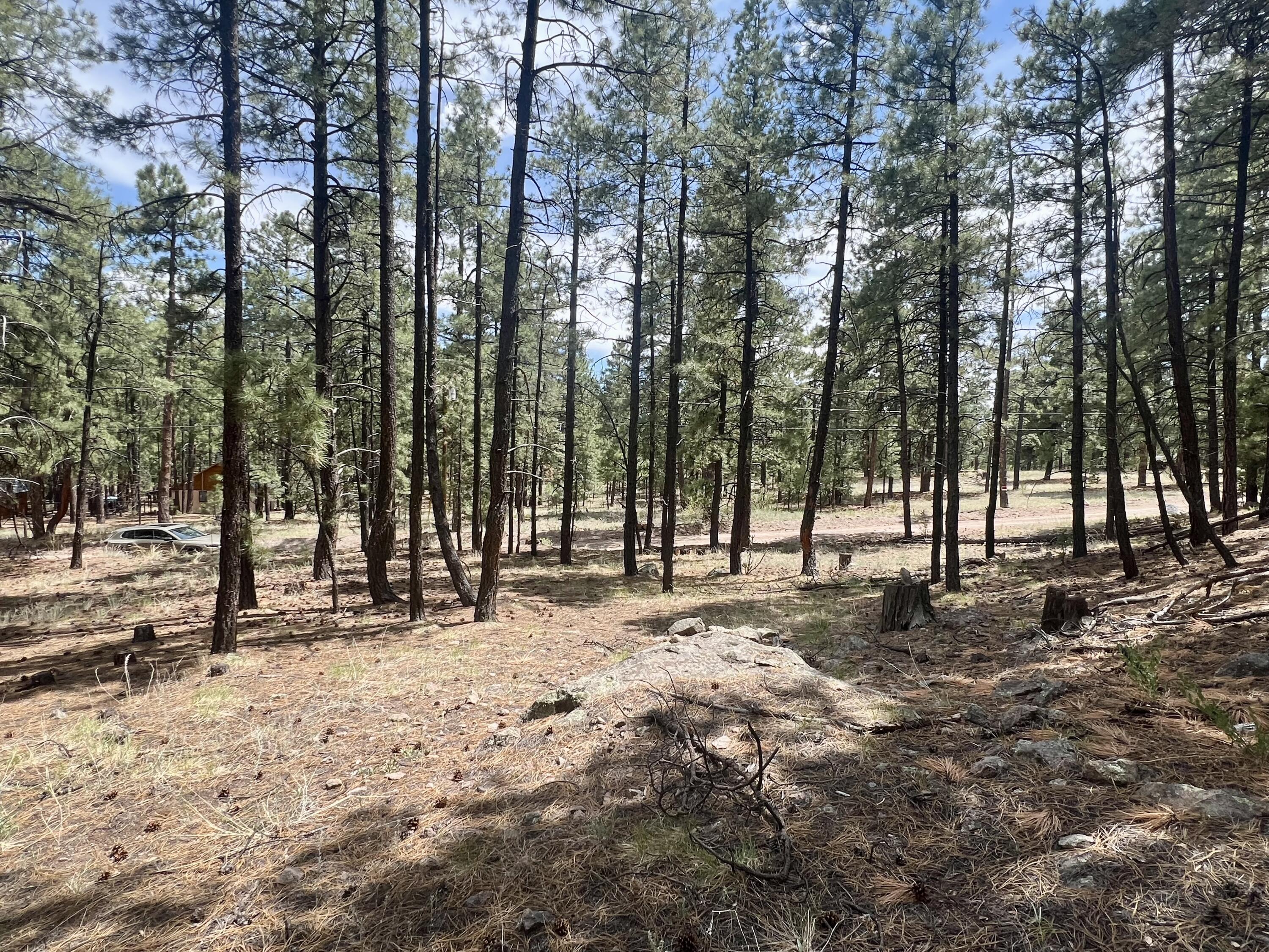 Homes for sale in Jemez Springs, NM | Lot 36 Spruce Loop, Jemez Springs, NM 87025 | MLS# 1088193