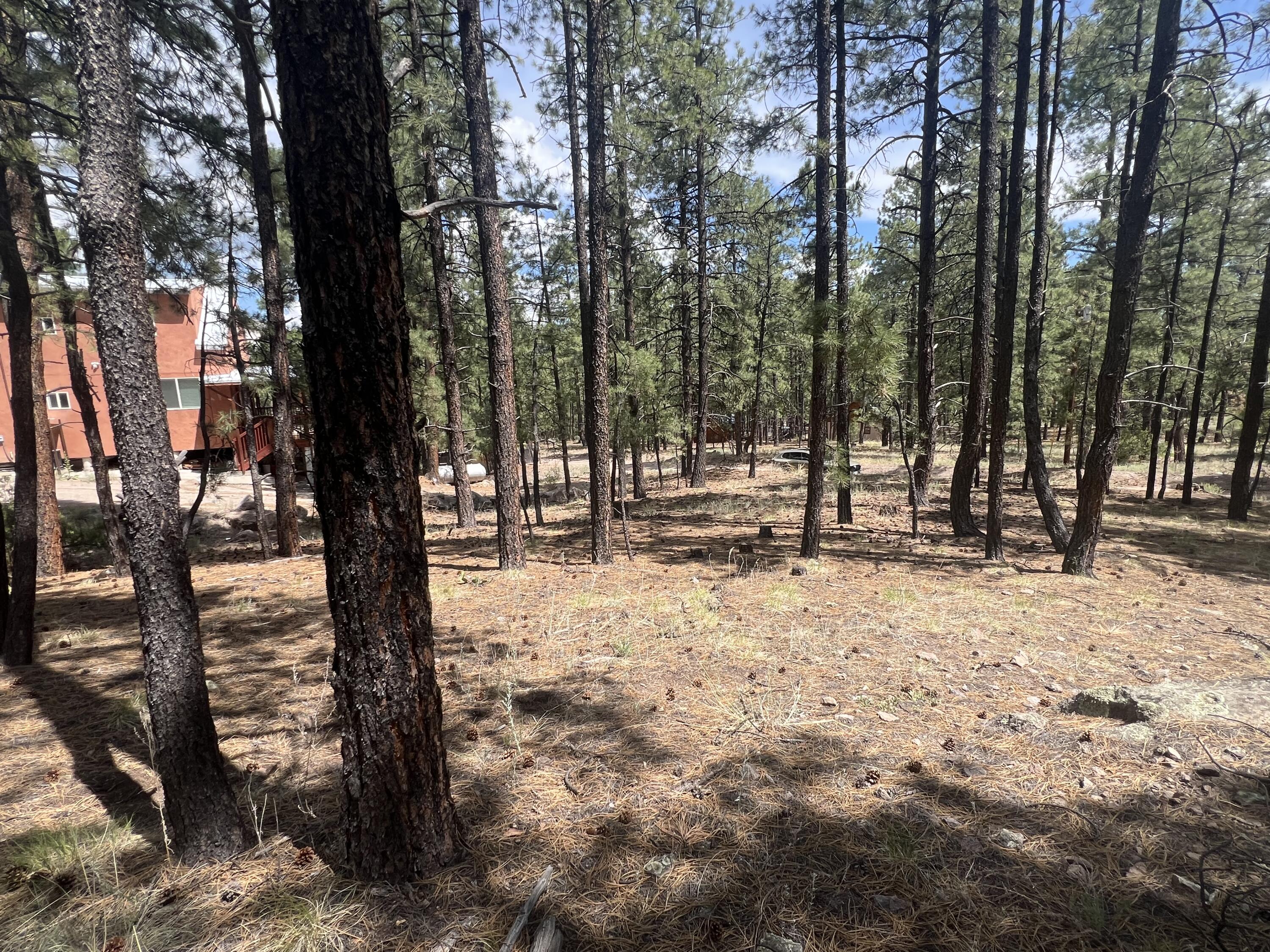 Homes for sale in Jemez Springs, NM | Lot 36 Spruce Loop, Jemez Springs, NM 87025 | MLS# 1088193
