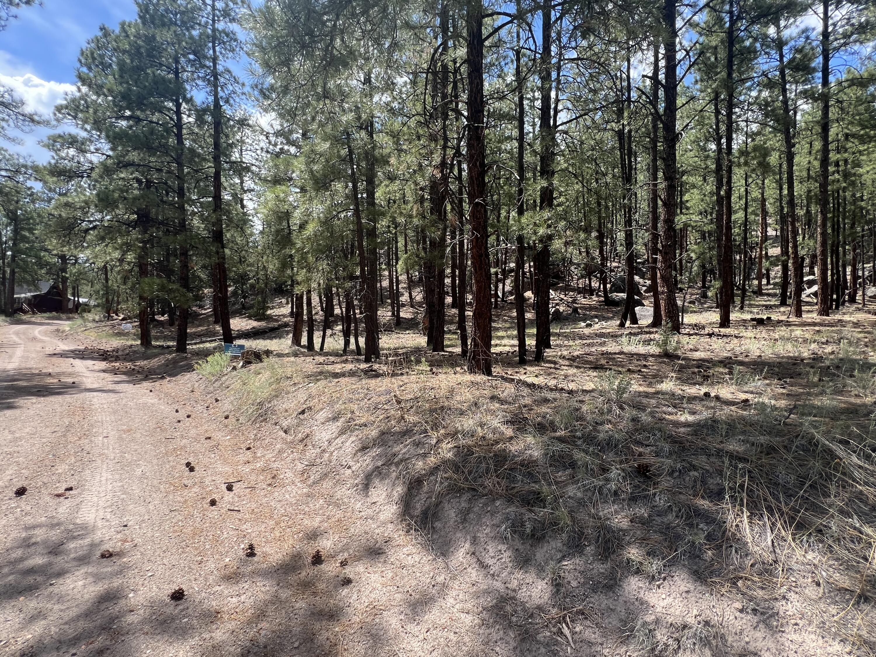 Homes for sale in Jemez Springs, NM | Lot 36 Spruce Loop, Jemez Springs, NM 87025 | MLS# 1088193
