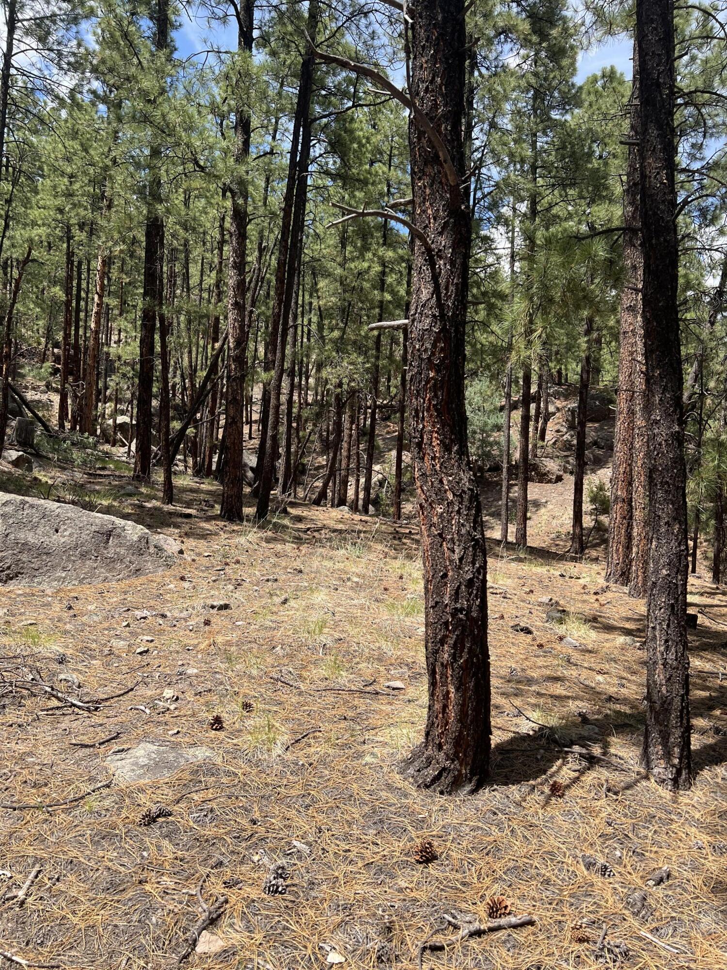 Homes for sale in Jemez Springs, NM | Lot 36 Spruce Loop, Jemez Springs, NM 87025 | MLS# 1088193