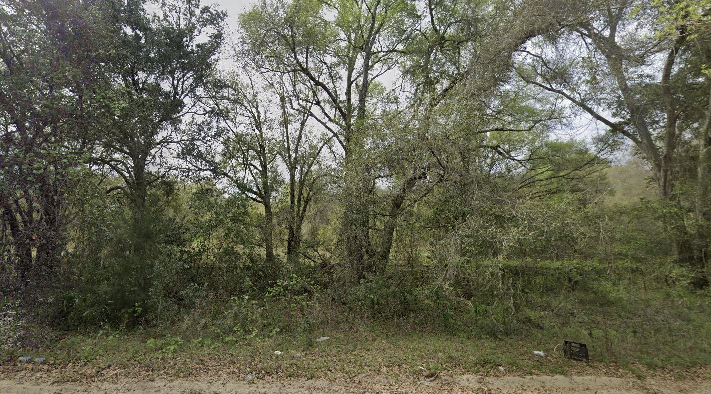 Interlachen Lakes Estates