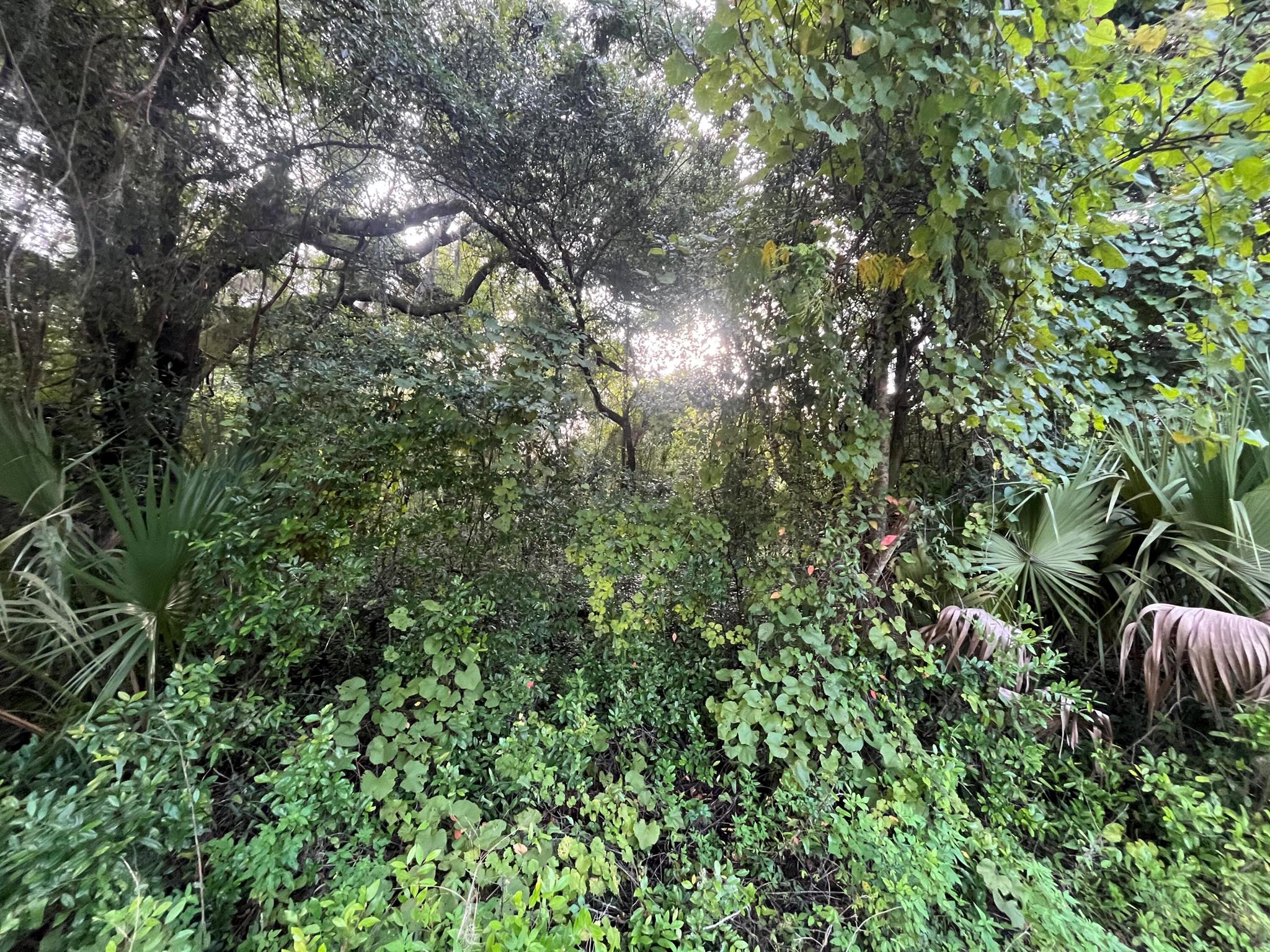 Interlachen Lakes Estates