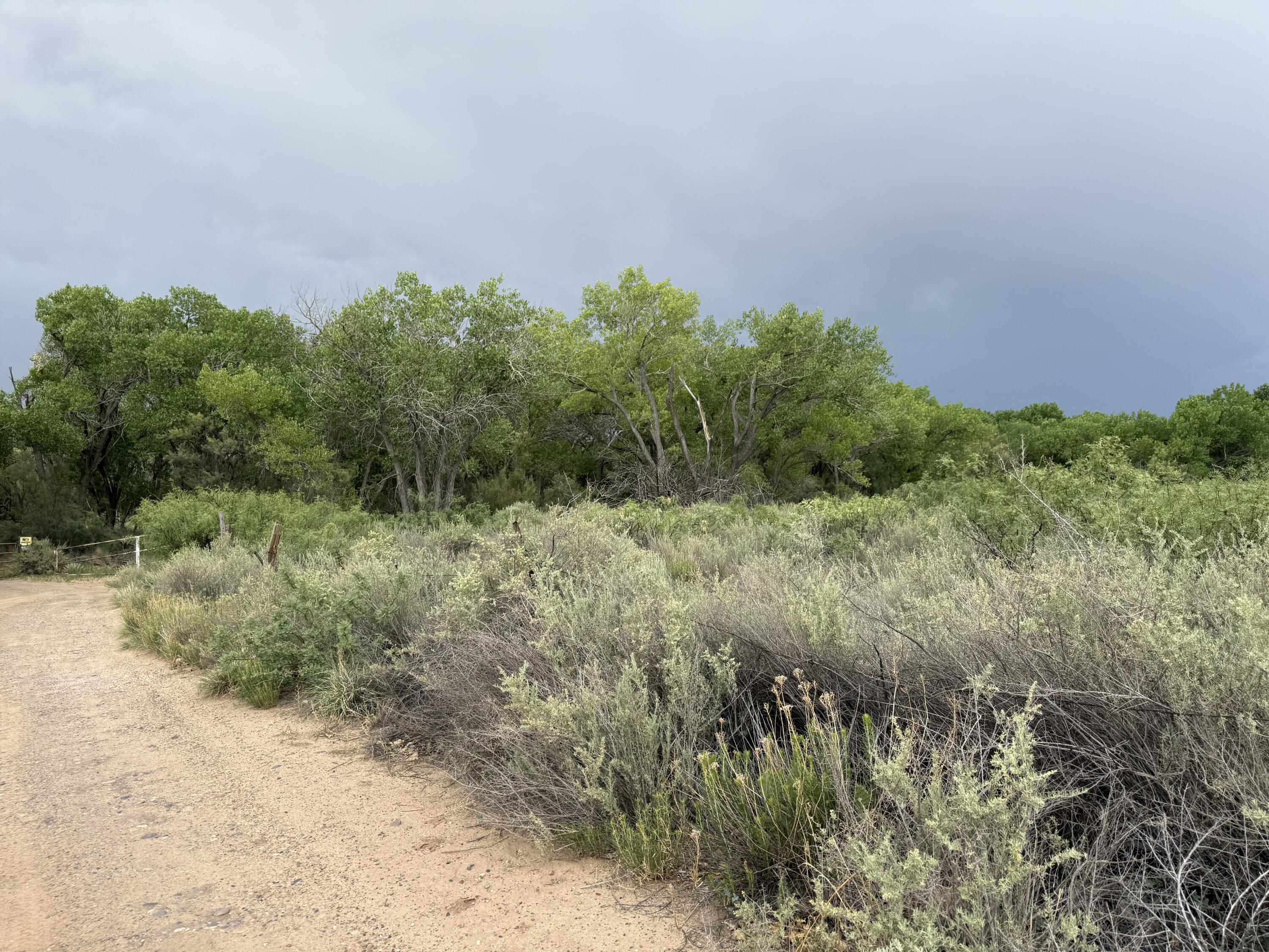 Homes for sale in Bosque, NM | 0 Winery Rd, Bosque, NM 87006 | MLS# 1088278