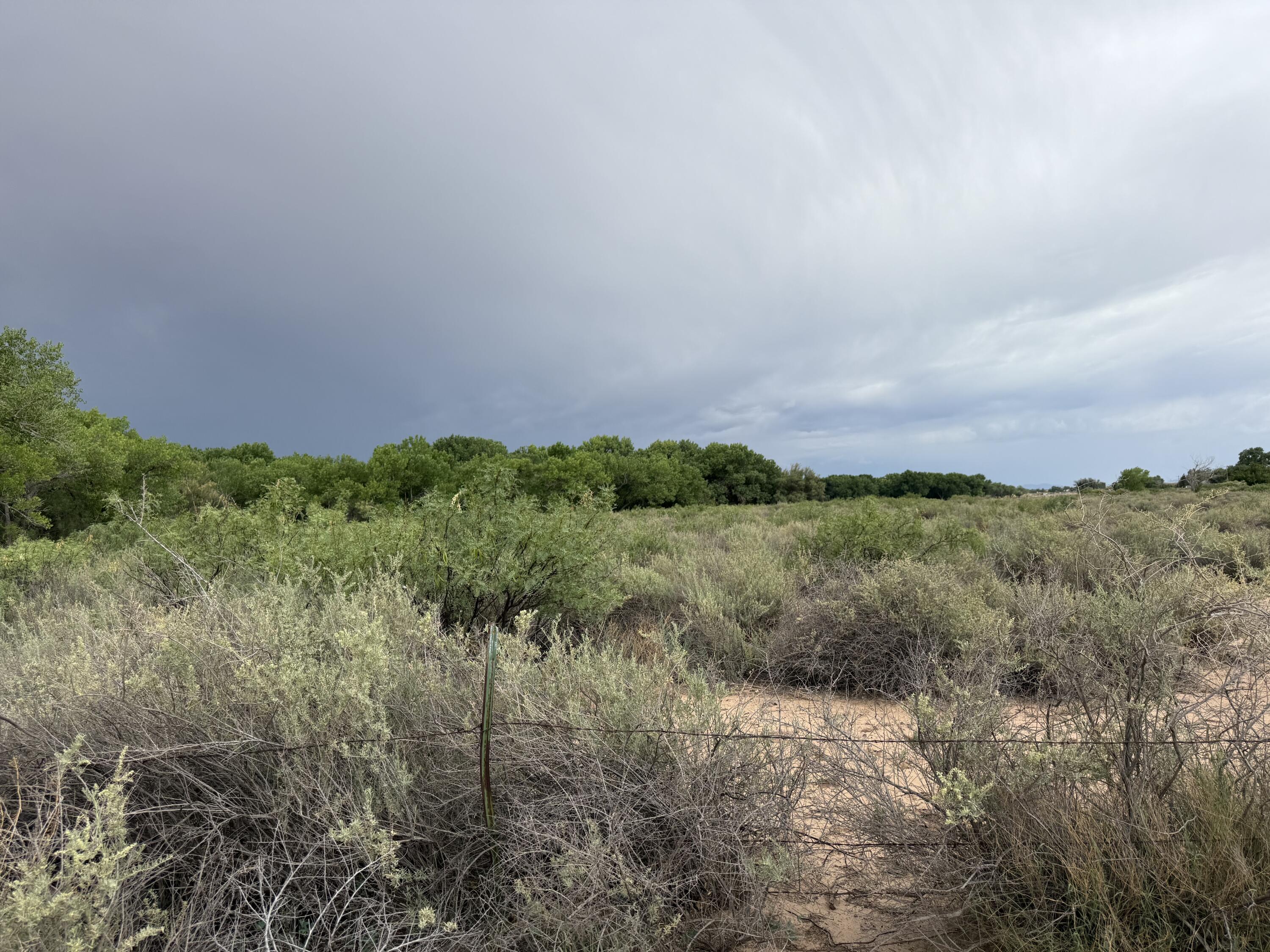 Homes for sale in Bosque, NM | 0 Winery Rd, Bosque, NM 87006 | MLS# 1088278