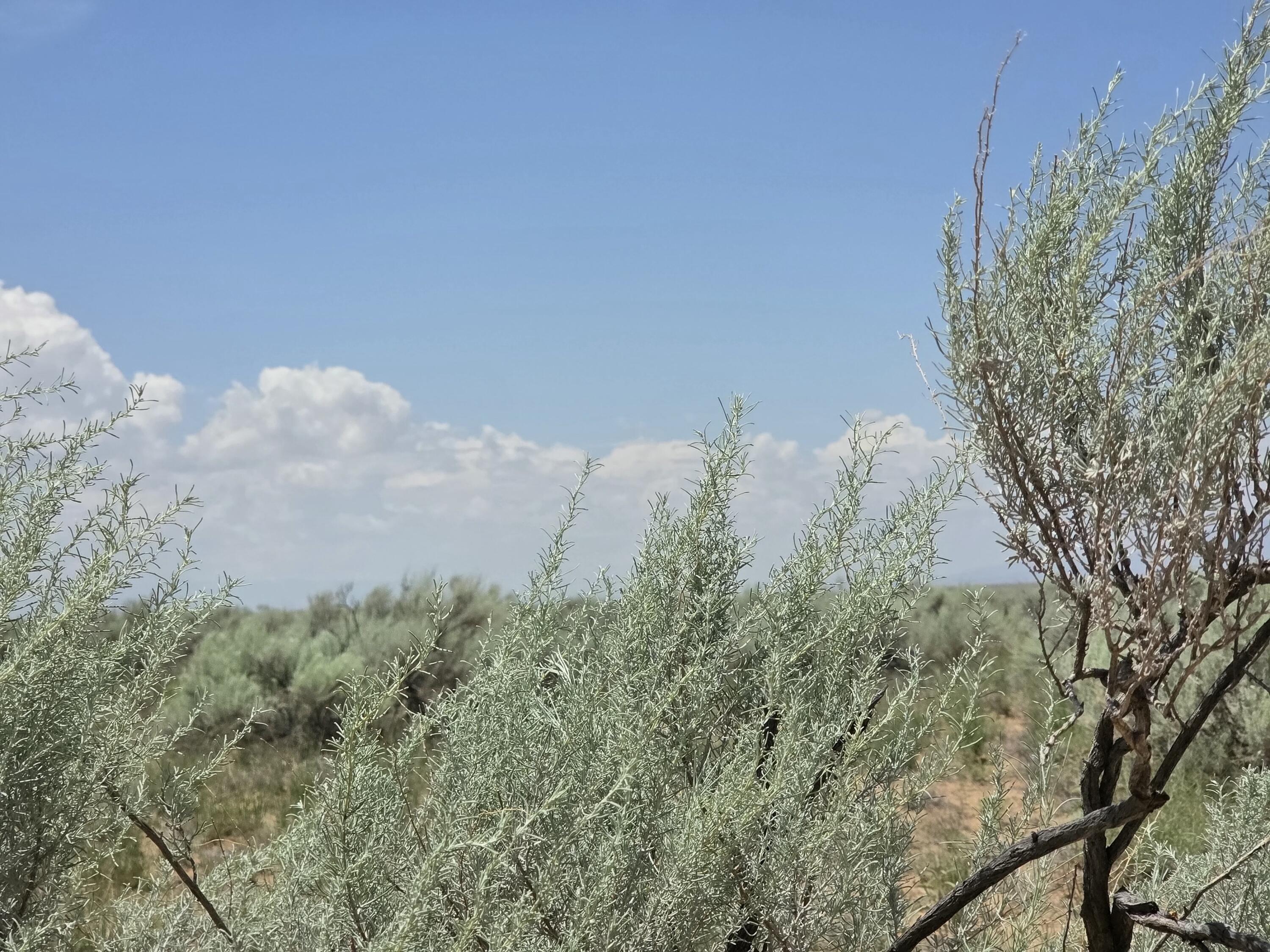 Homes for sale in Rio Communities, NM | Vl Rge Lot 27 Block 360 #17, Rio Communities, NM 87002 | MLS# 1088298