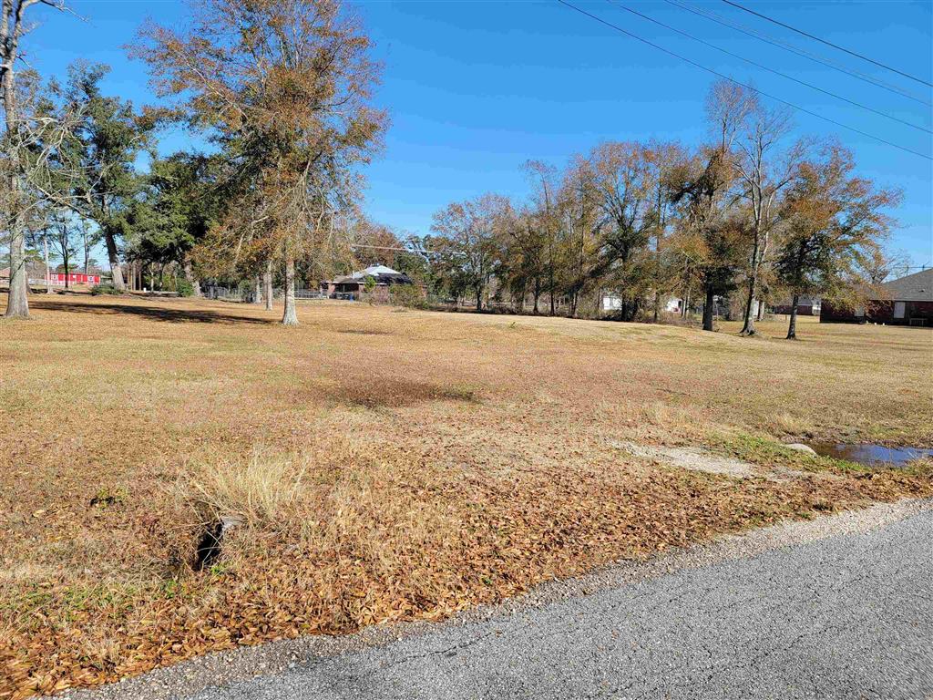 Debra Ln Lane — photo 2