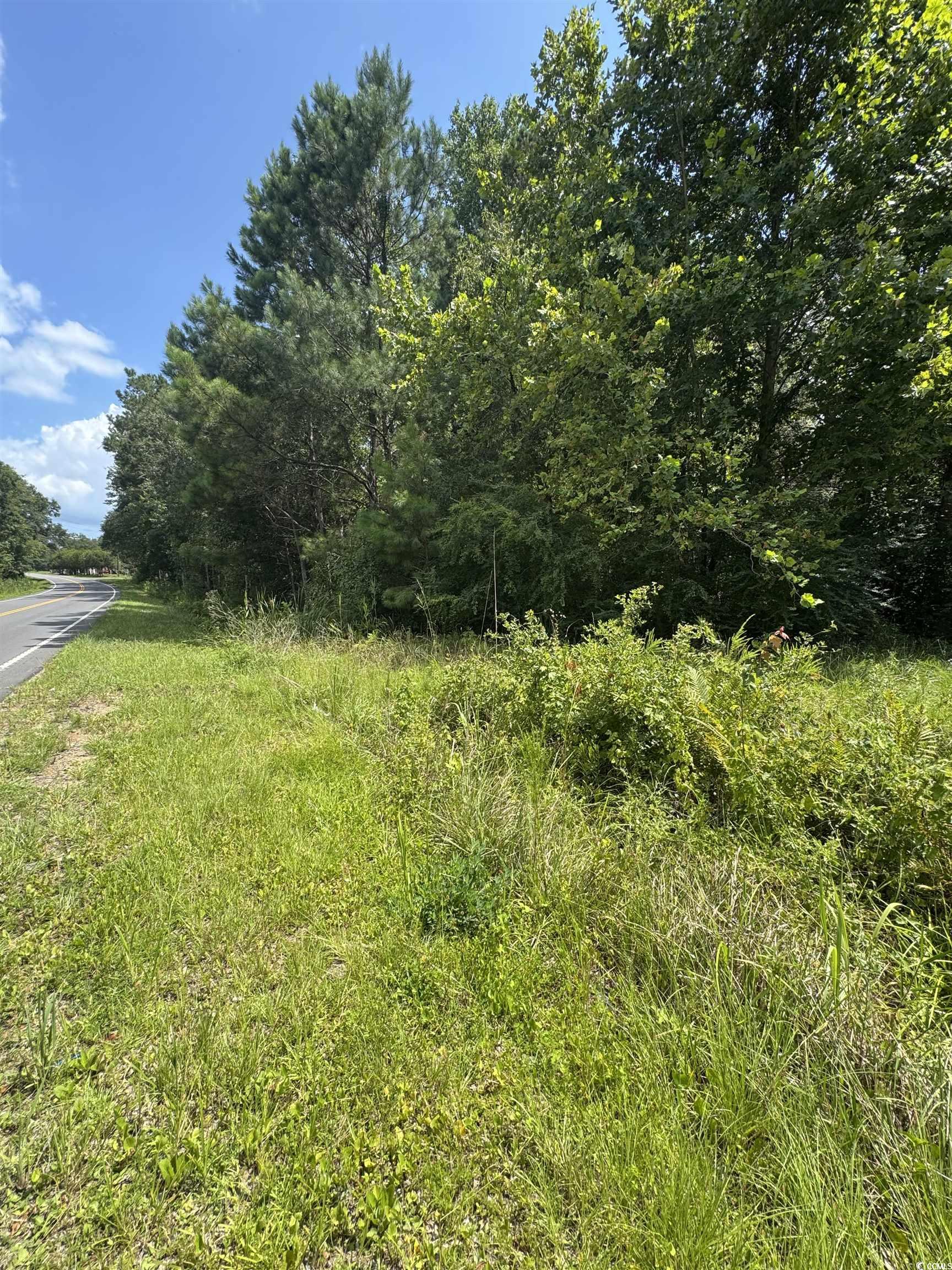 tbd Society Dr. Conway, SC 29527