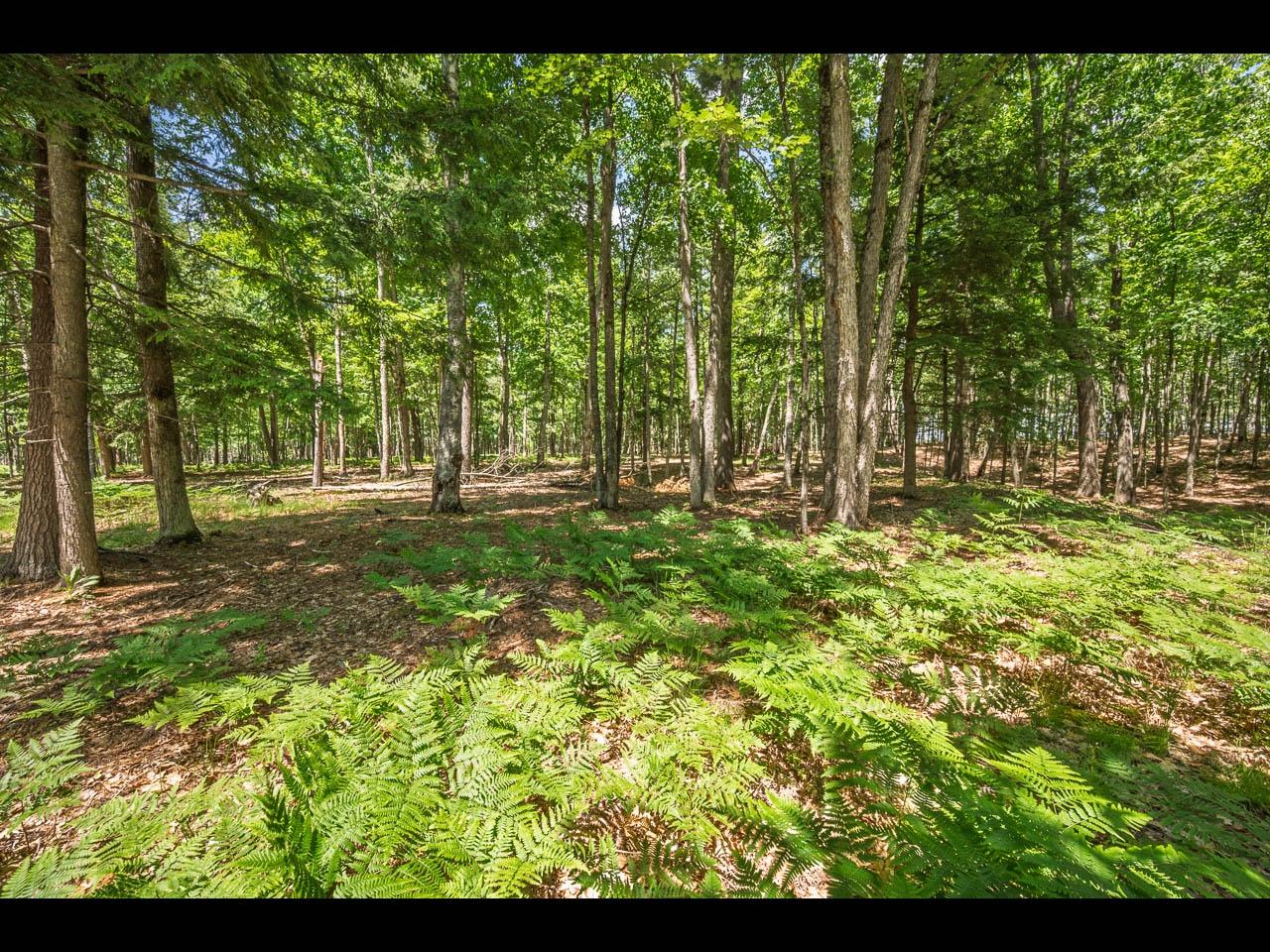 Clearwater Lake Property 154-156 Kindling Pt Photo 12