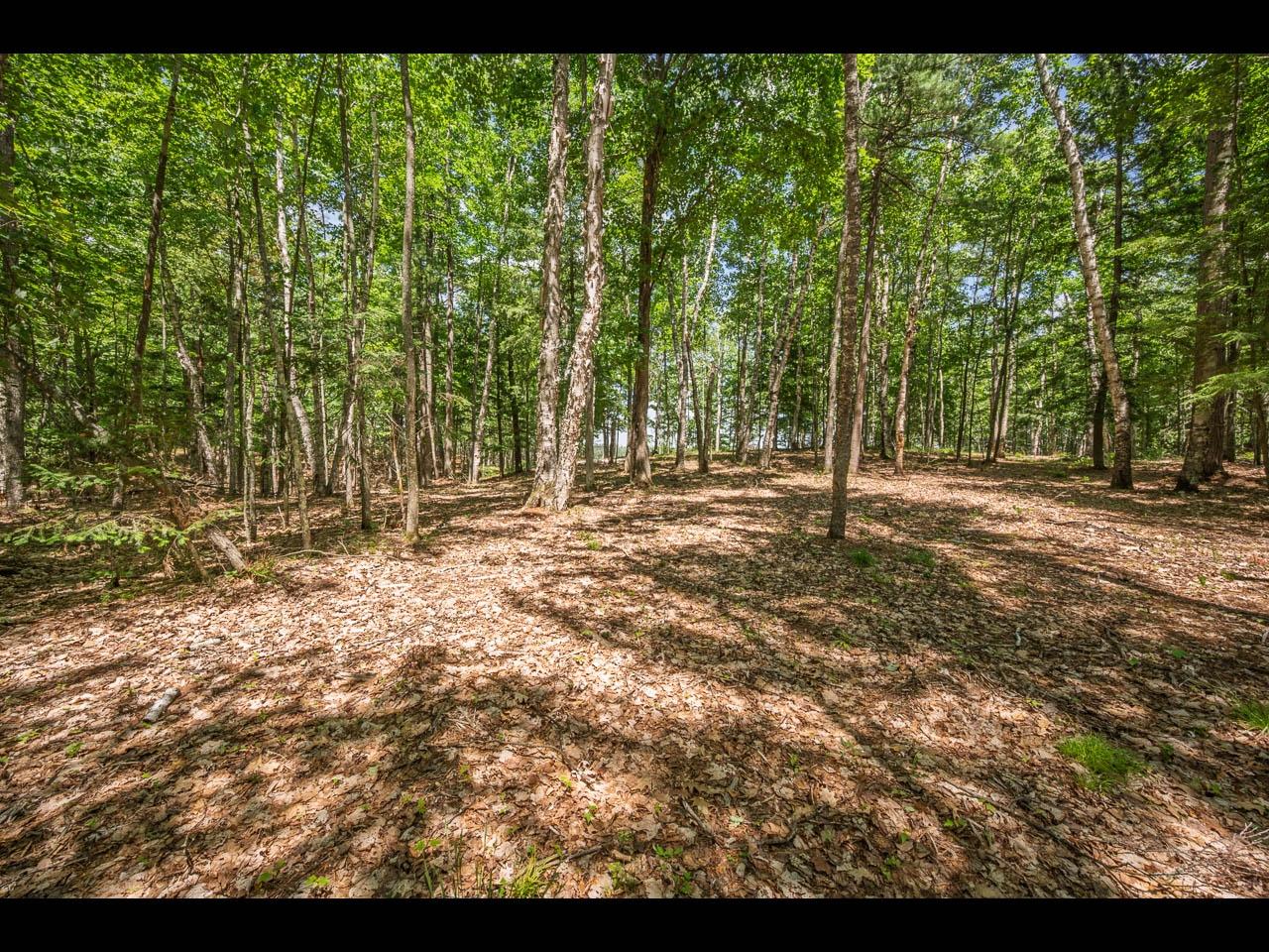 Clearwater Lake Property 154-156 Kindling Pt Photo 15