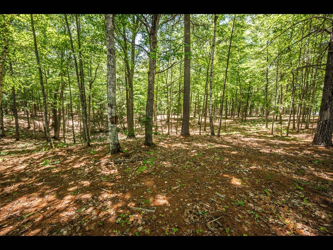 Clearwater Lake Property 154-156 Kindling Pt Photo 30