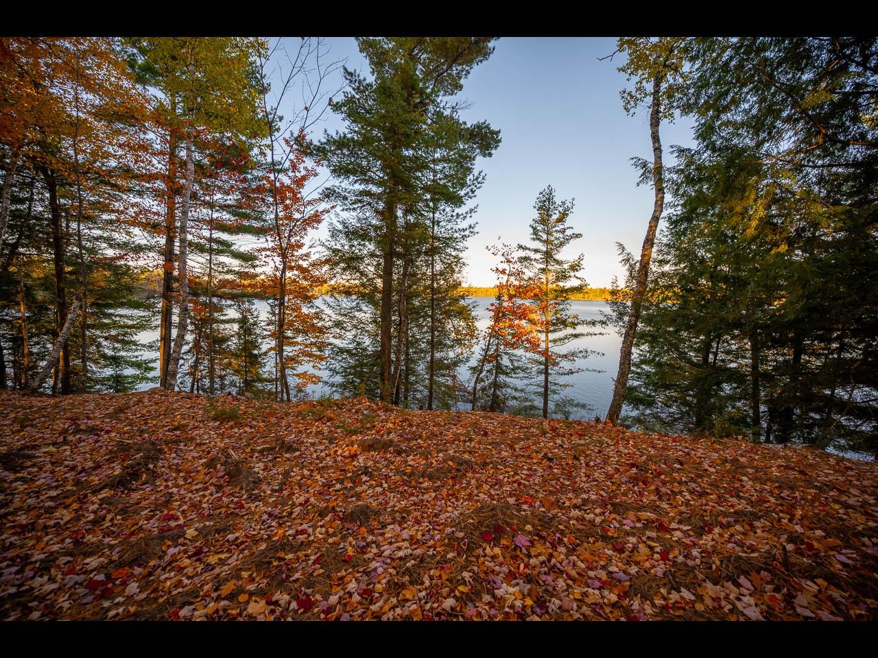 Clearwater Lake Property 154-156 Kindling Pt Photo 38