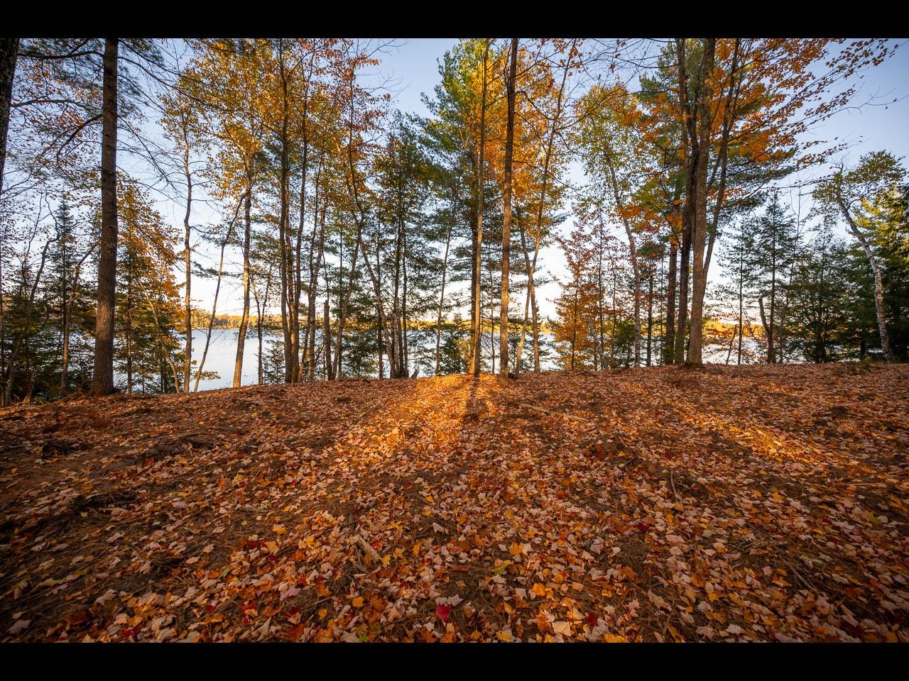 Clearwater Lake Property 154-156 Kindling Pt Photo 40