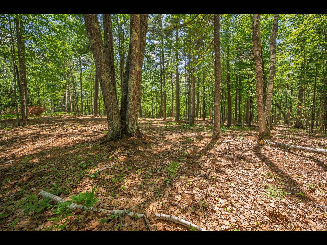 Clearwater Lake Property 154-156 Kindling Pt Photo 49