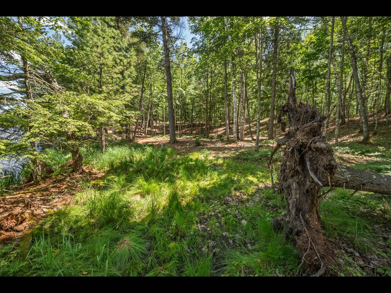 Clearwater Lake Property 154-156 Kindling Pt Photo 8