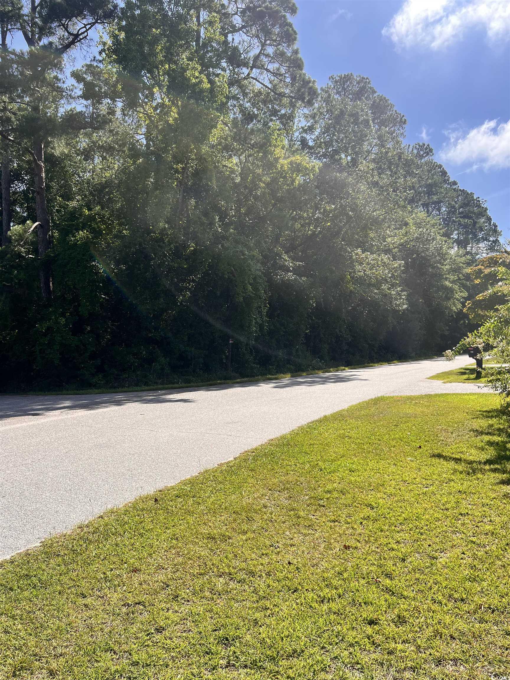 Homes for sale in Dillon, SC | Edgewood Dr, Dillon, SC 29536 | MLS# 2518100