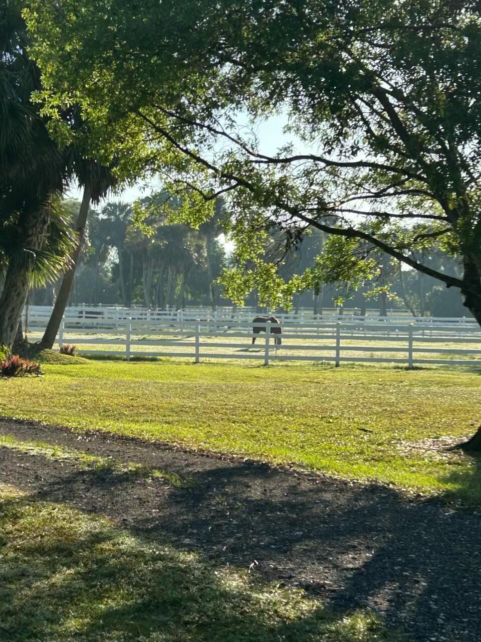 14095 Biddex Road Loxahatchee FL 33470 | R11110122