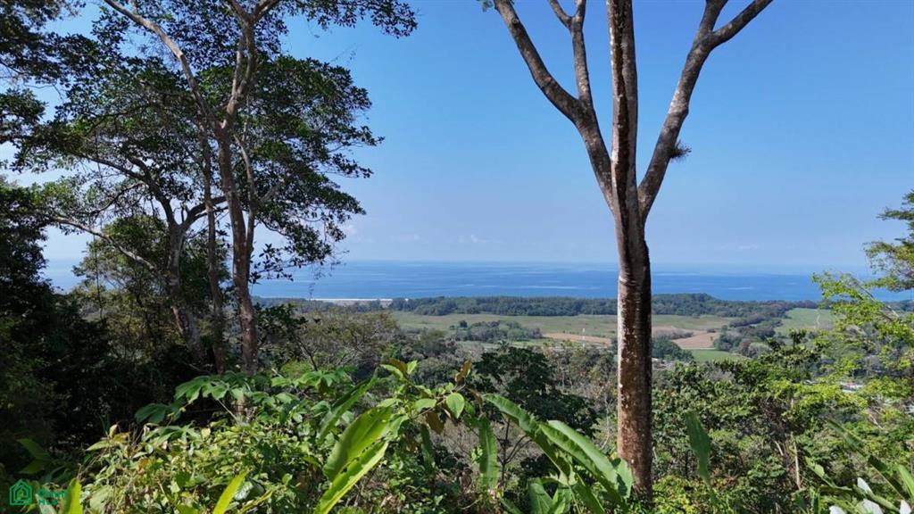 0 bed Land For Sale in Osa, Puntarenas - 1