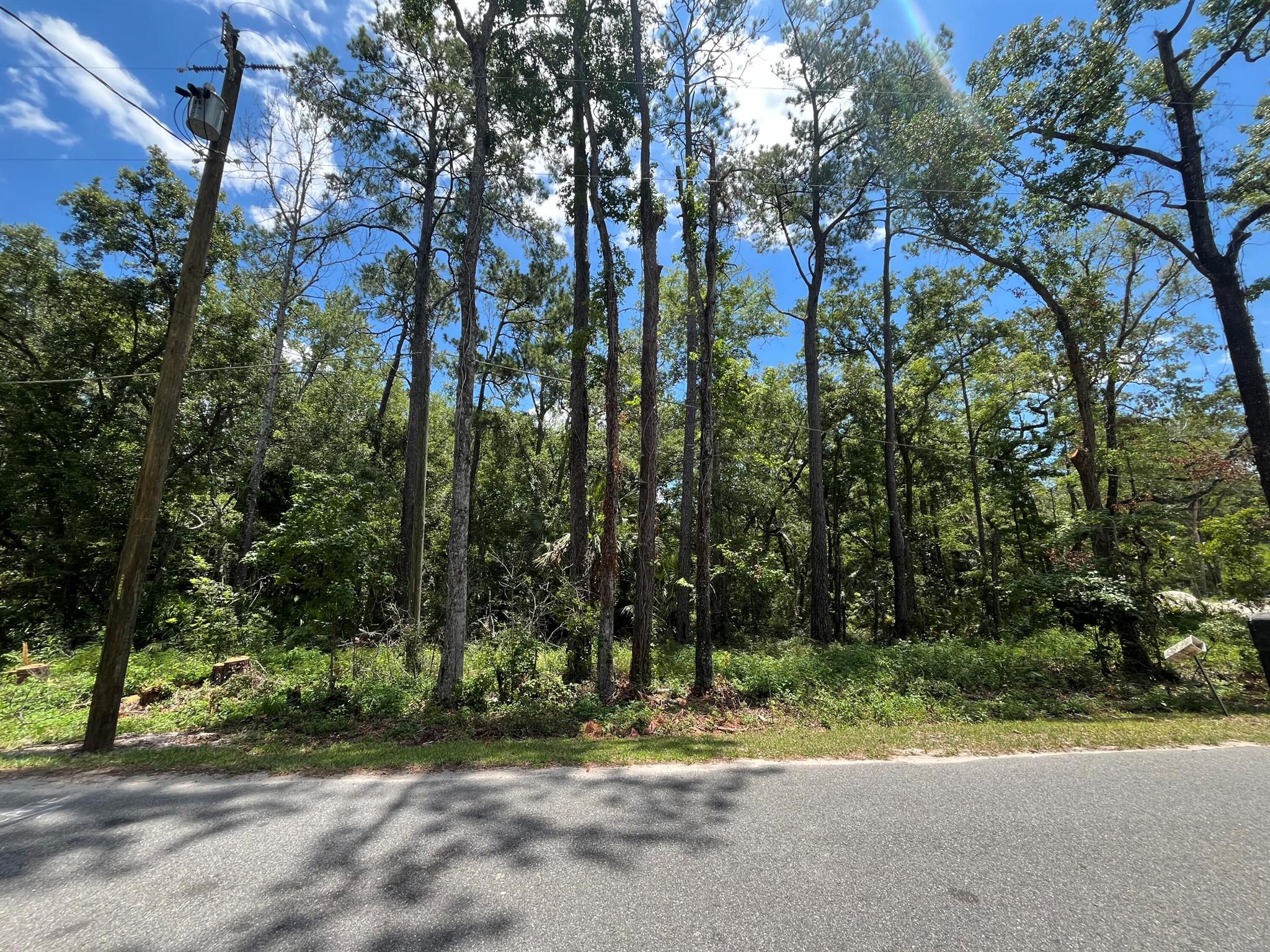 Homes for sale in Crawfordville, FL | Tbd Franklin Dr, Crawfordville, FL 32327 | MLS# R11110440