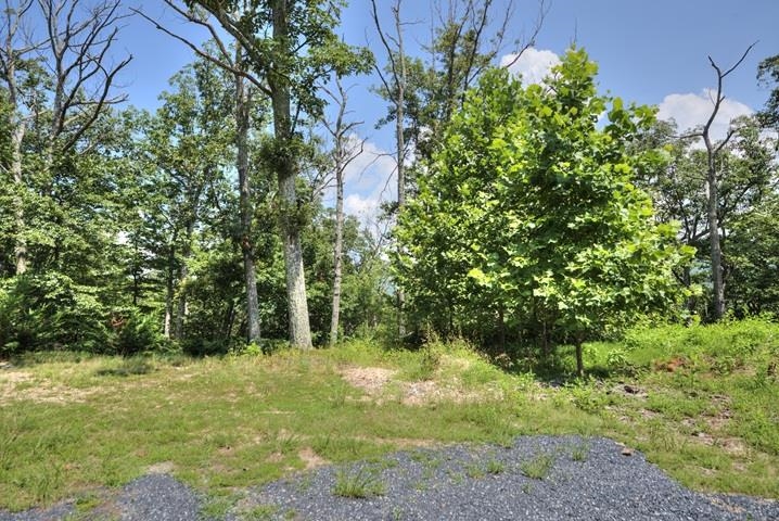 TBD Laurel Ridge Ln