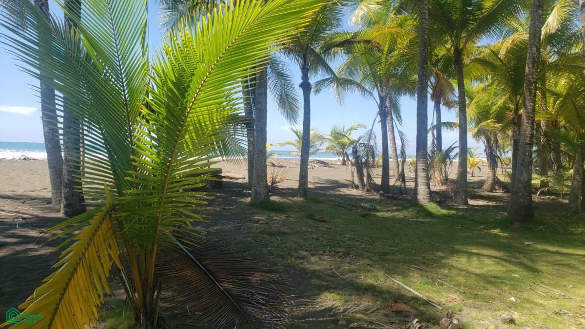 0 bed Land For Sale in Parrita, Puntarenas - 1