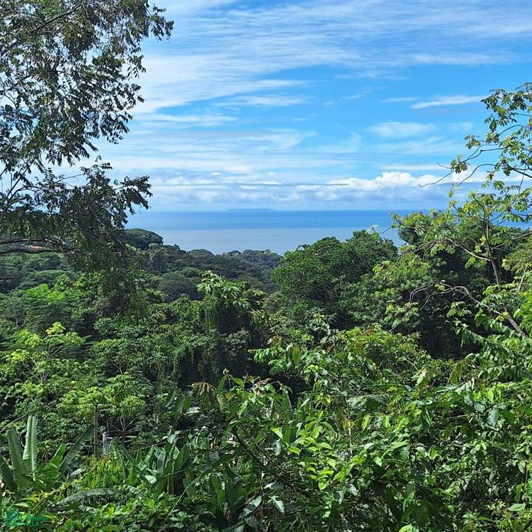 0 bed Land For Sale in Osa, Puntarenas - 1