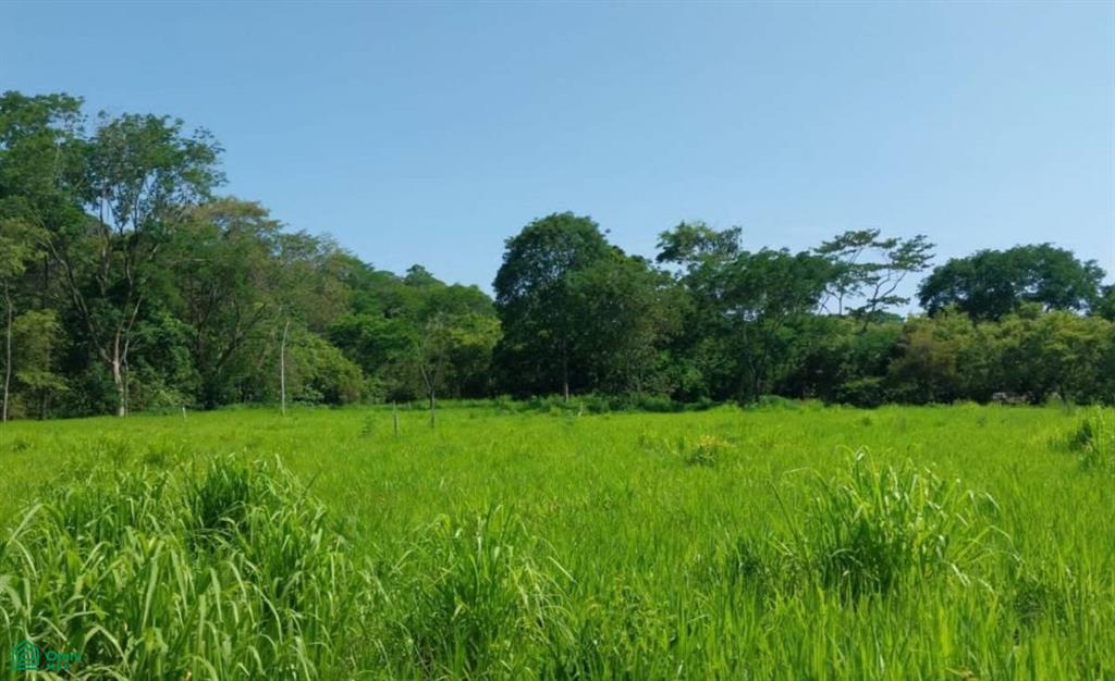 0 bed Land For Sale in Osa, Puntarenas - 1