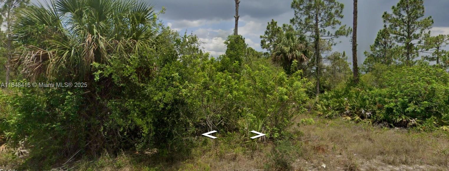 Lee County Unincorporated