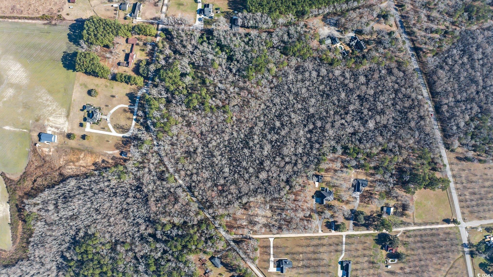 TBD Reba Rd. Conway, SC 29527