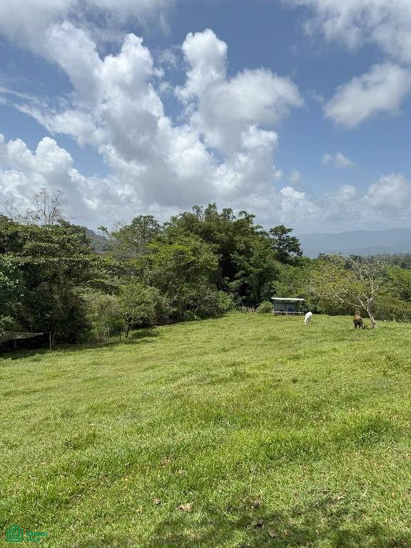 0 bed Land For Sale in Turrialba, Cartago - 1