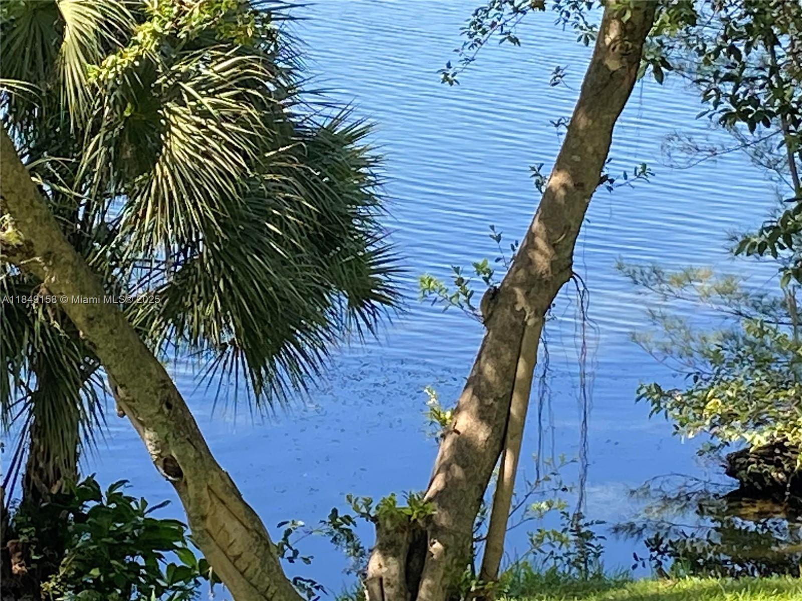 Samari Lake East Condo