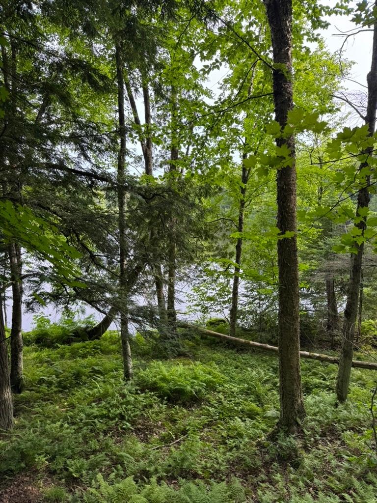 Stateline Lake Property Lot 2 Benson Rd Photo 9