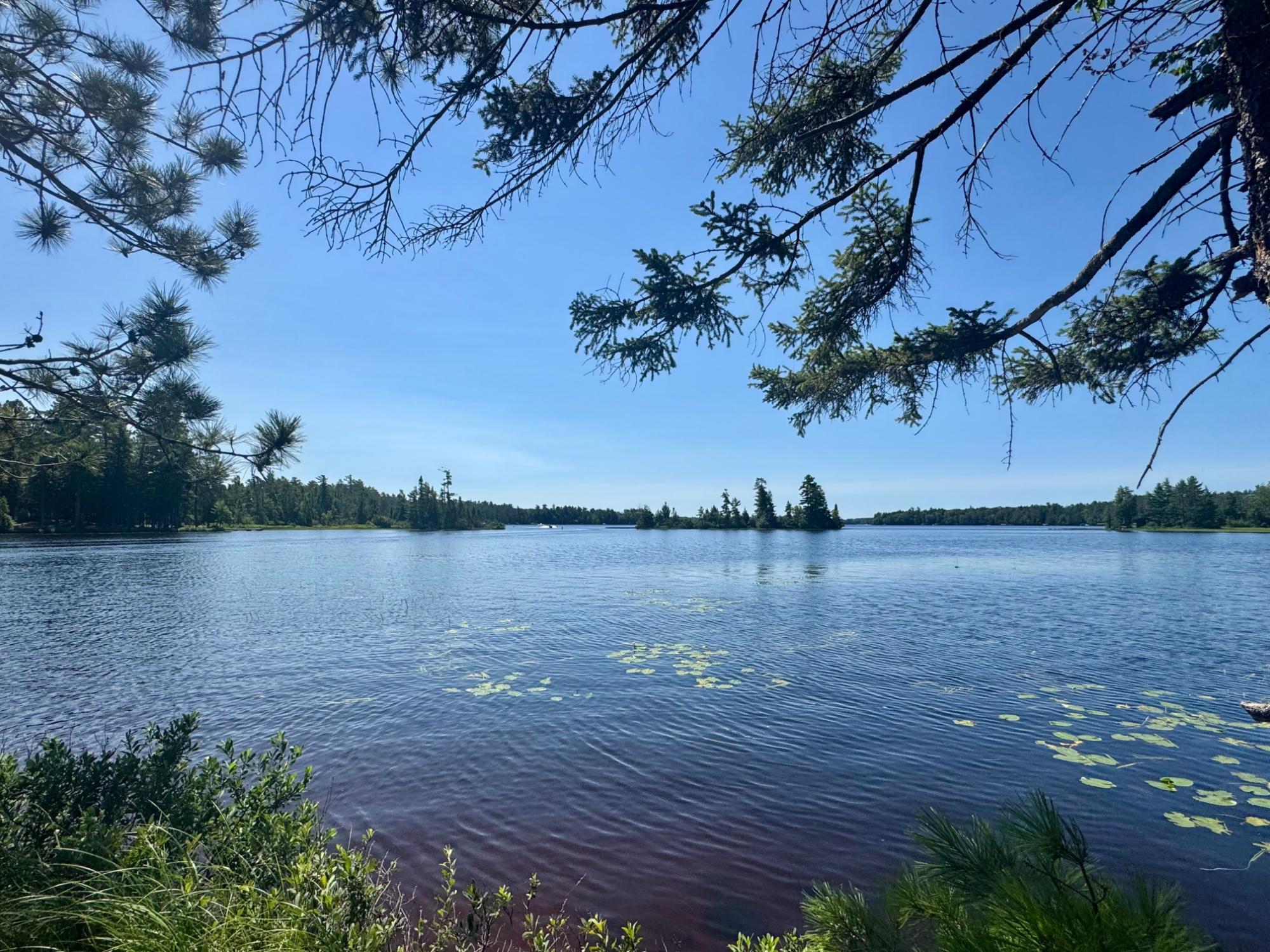 Big Fork Lake Property 553 Reed Rd Photo 26