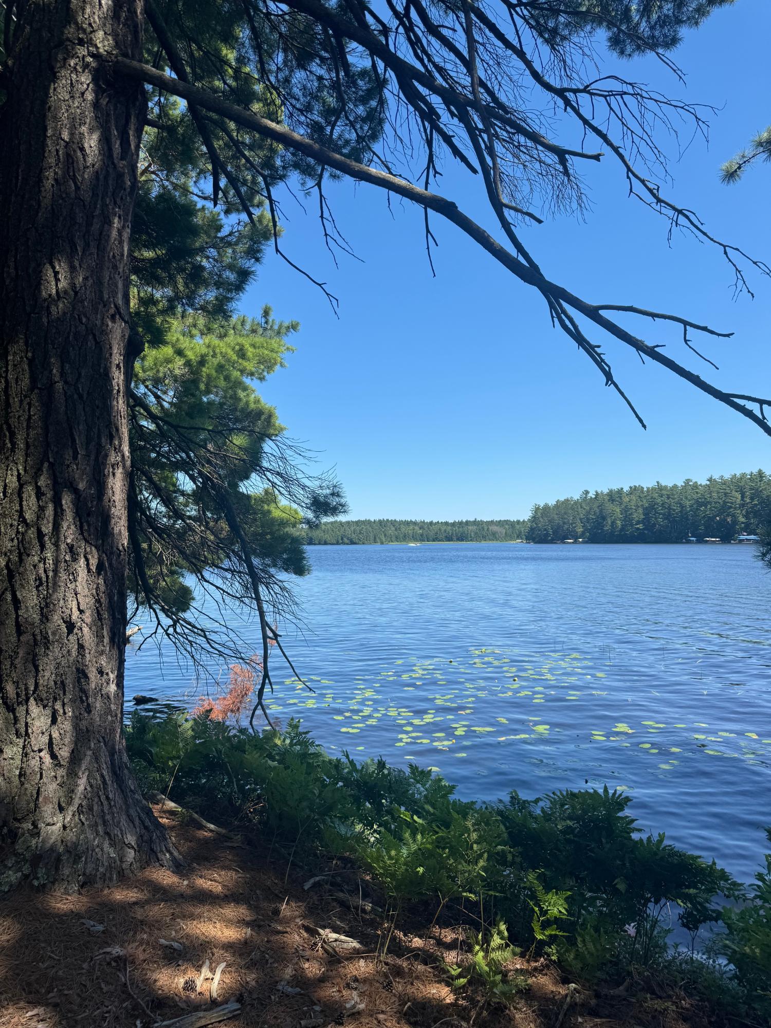 Big Fork Lake Property 553 Reed Rd Photo 30
