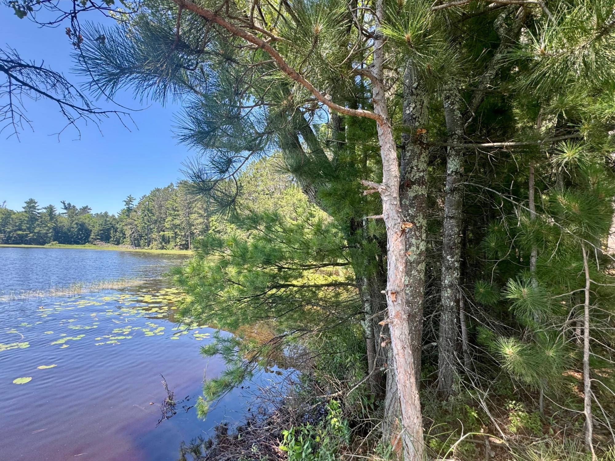 Big Fork Lake Property 553 Reed Rd Photo 31