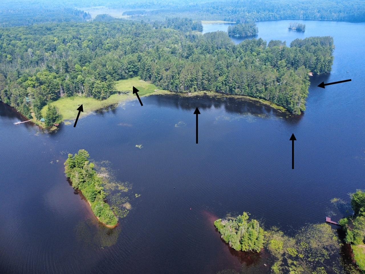 Big Fork Lake Property 553 Reed Rd Photo 38