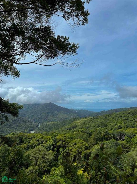 0 bed Land For Sale in Osa, Puntarenas - 1