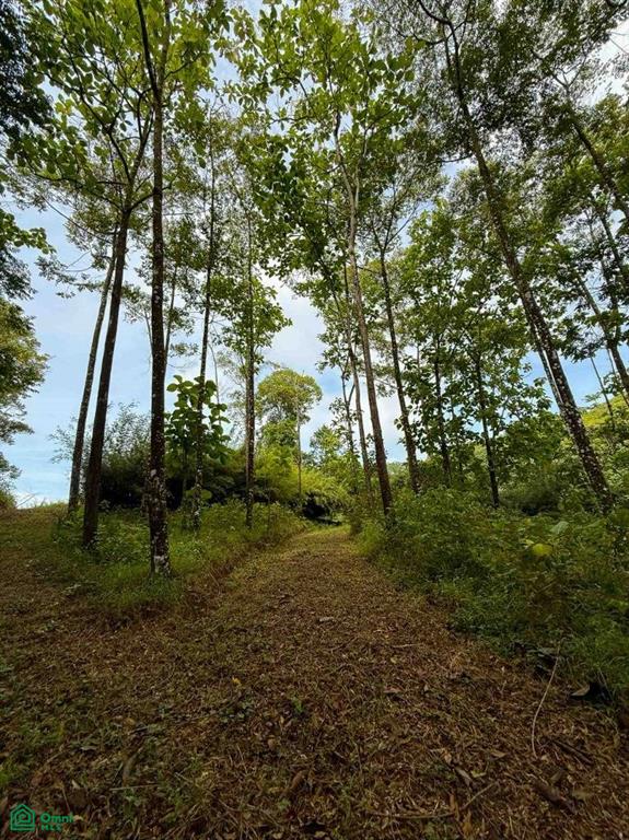 0 bed Land For Sale in , Puntarenas - 1